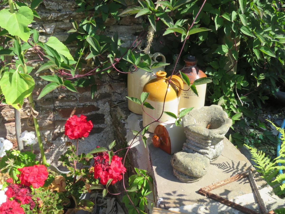 Little Orchard Apartment Pont Yates Esterno foto