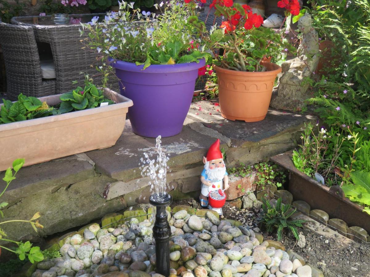 Little Orchard Apartment Pont Yates Esterno foto