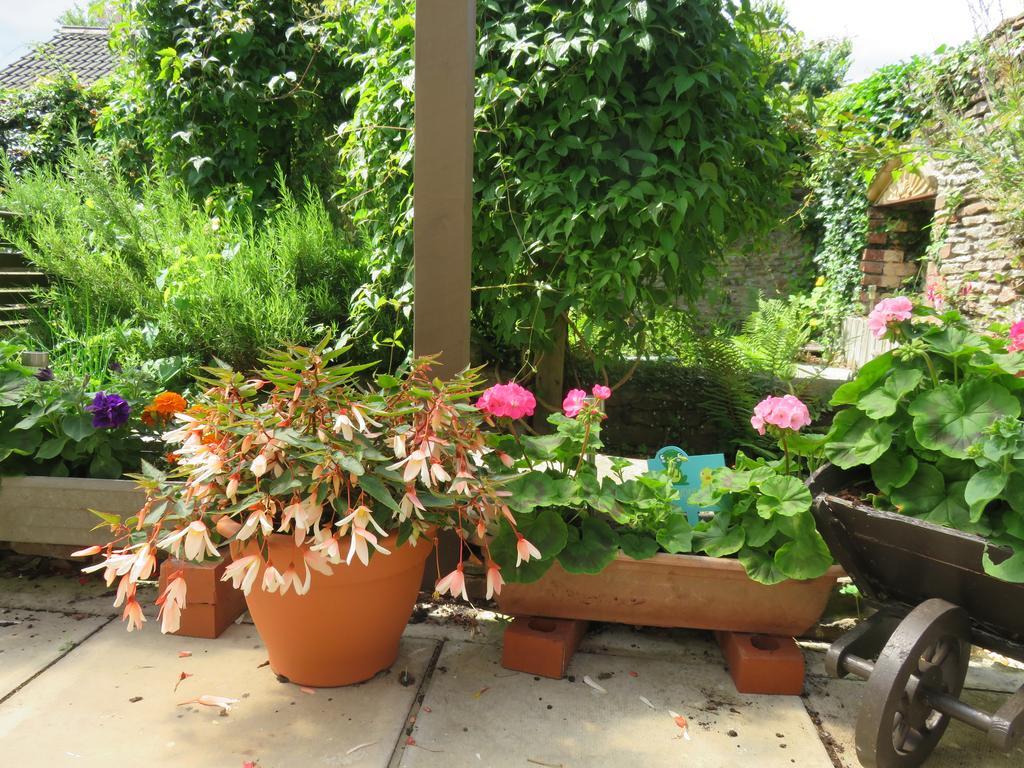 Little Orchard Apartment Pont Yates Esterno foto
