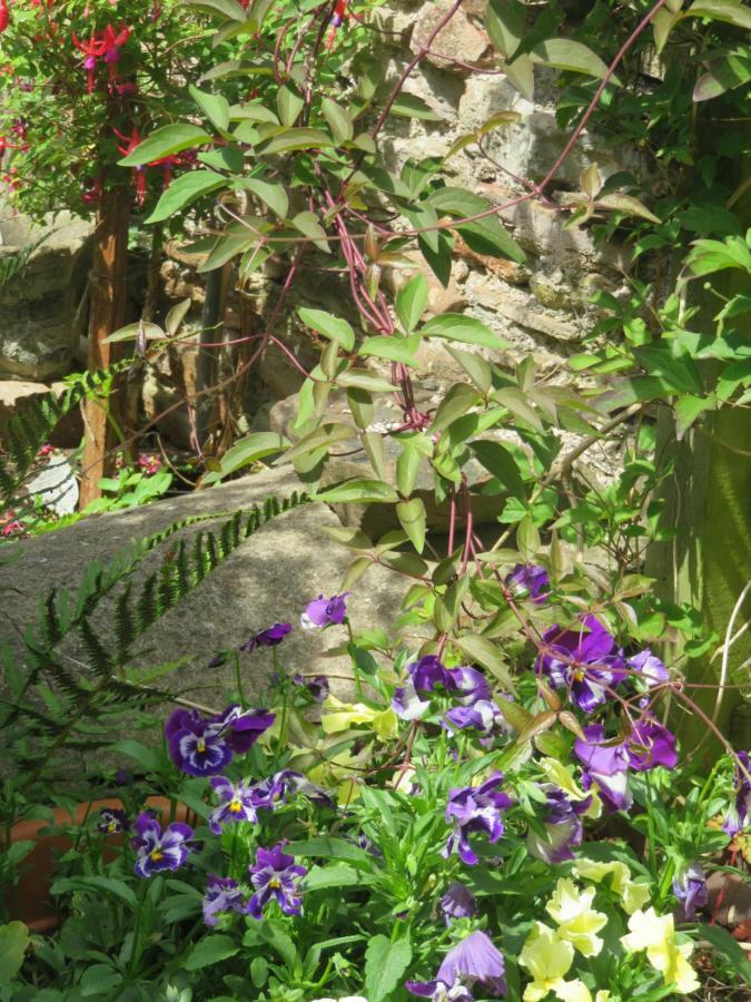 Little Orchard Apartment Pont Yates Esterno foto