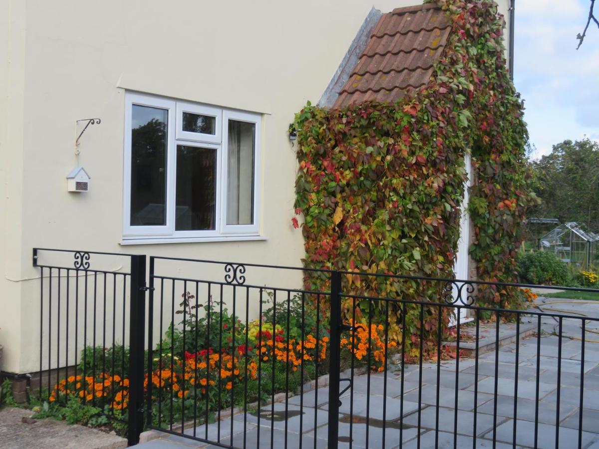 Little Orchard Apartment Pont Yates Esterno foto